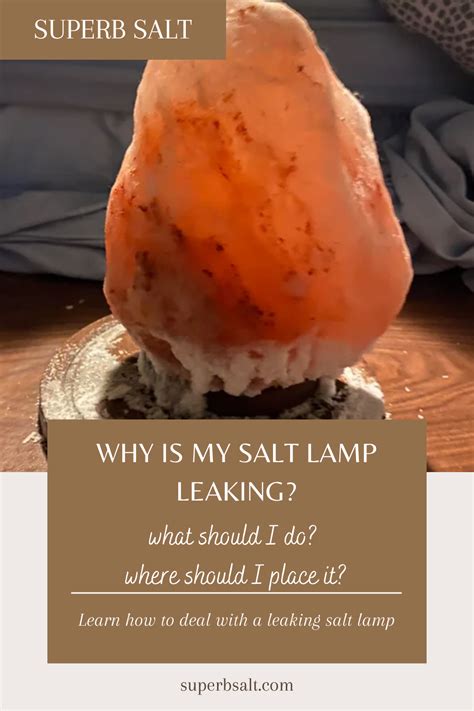 why is salt lamp leaking|How to Stop My Salt Lamp Leaking 